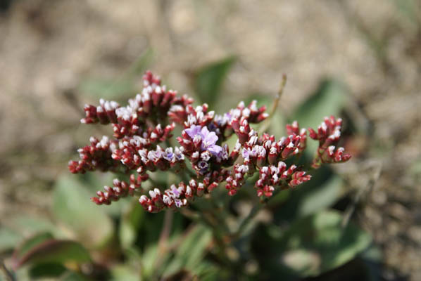 photo1