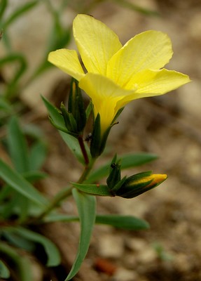 photo1