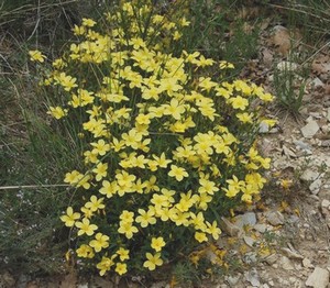 photo2