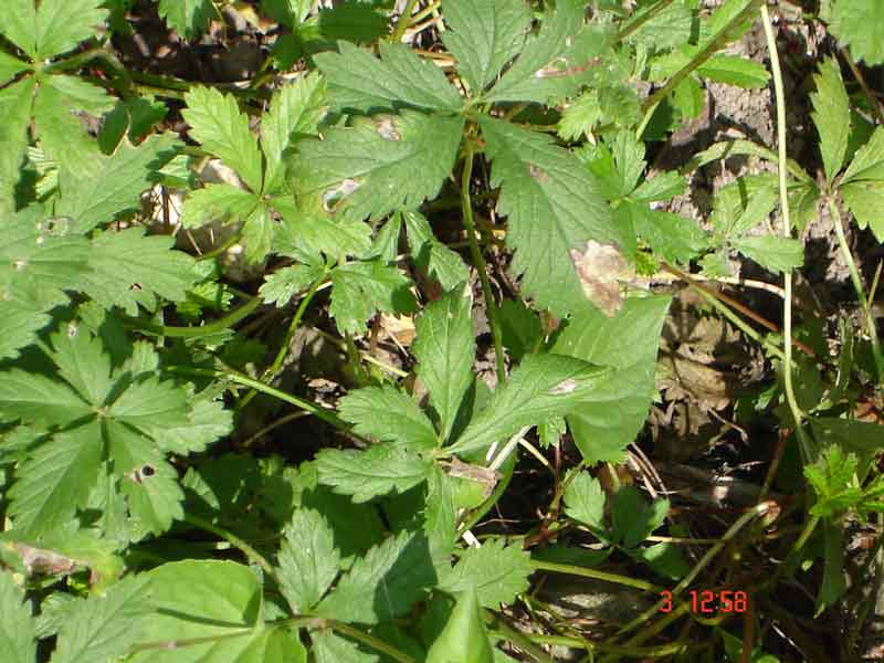 photo1