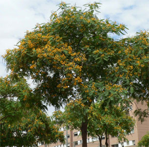 photo1