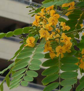 photo2