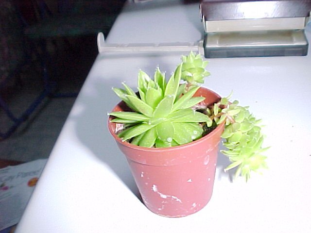 photo1