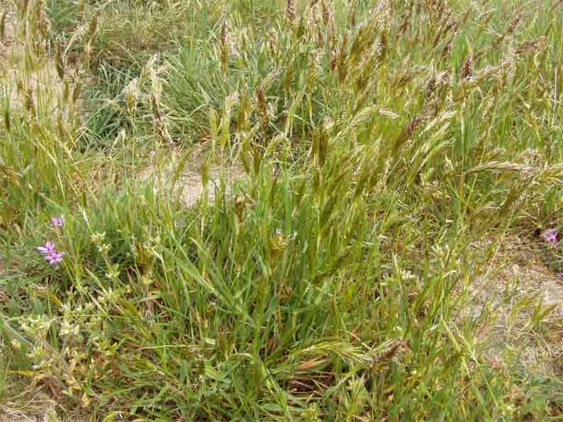 photo1