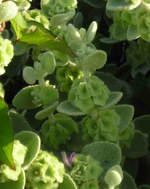 photo1