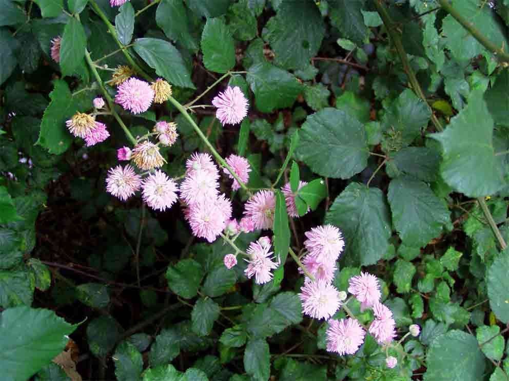 photo1