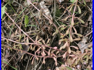 photo2