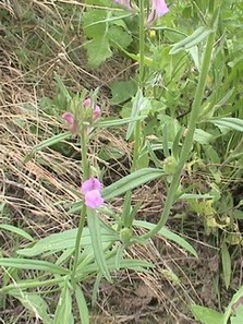 photo1