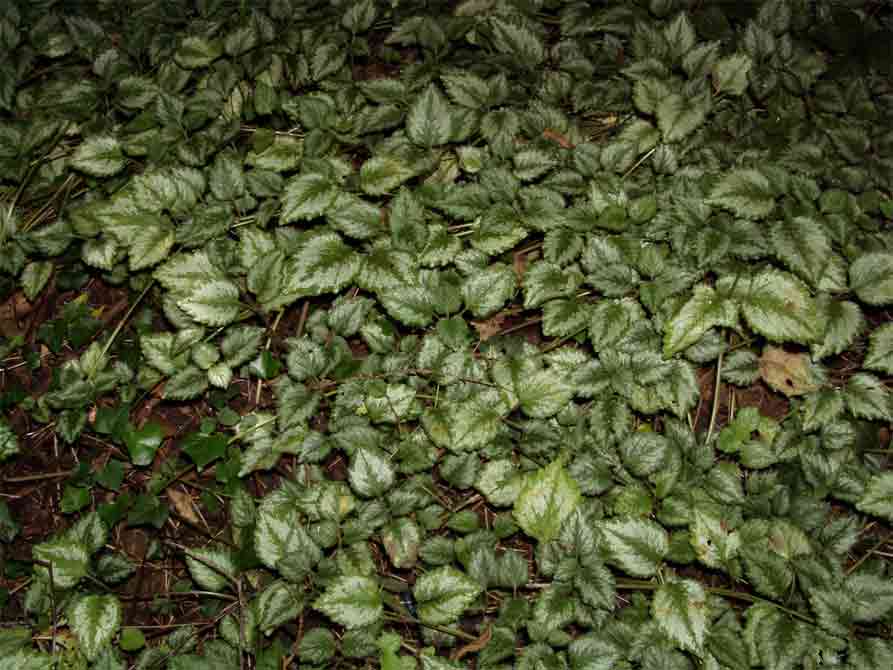 photo2