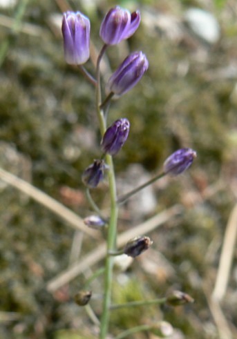 photo2