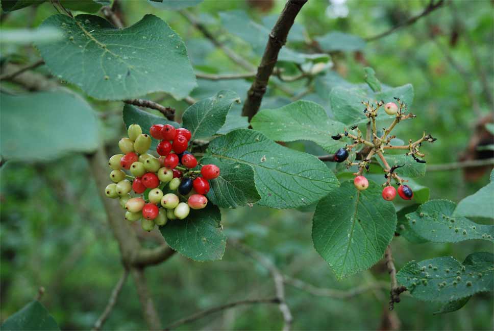 photo2