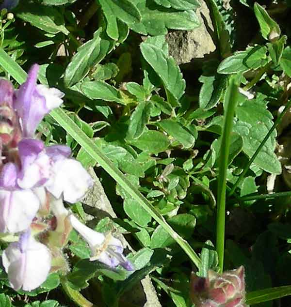 photo2