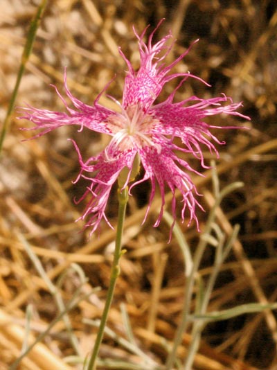 photo1