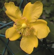 photo1