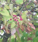 photo2