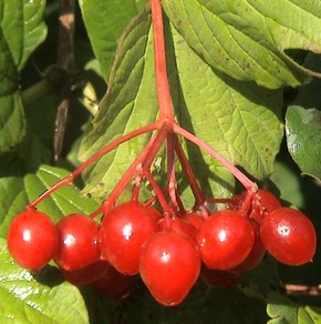 photo1