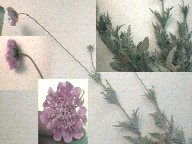 photo1