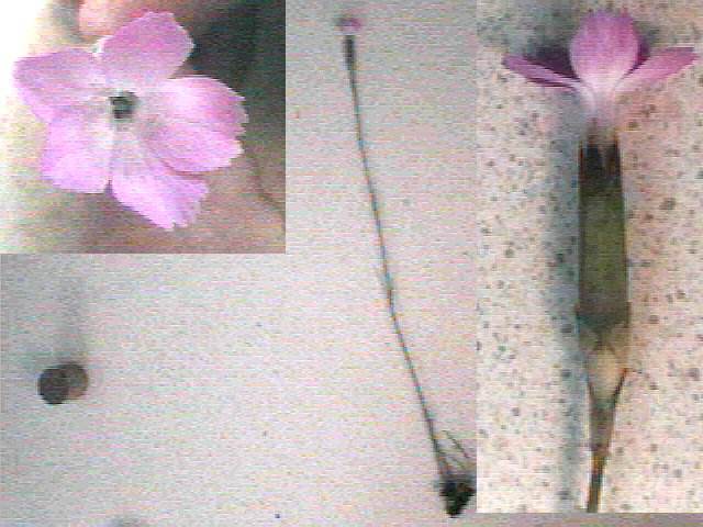 photo1