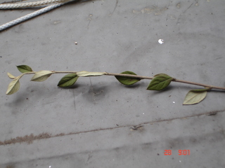photo2