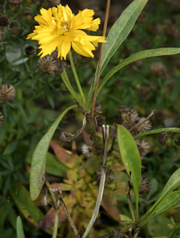 photo1