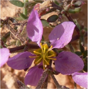 photo2