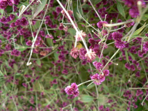 photo2