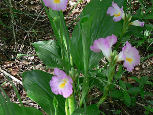 photo1