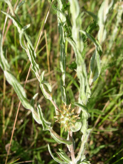 photo1