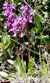 photo1