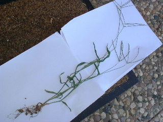 photo1