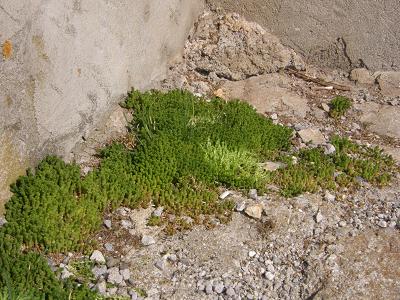 photo1
