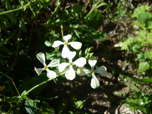 photo1