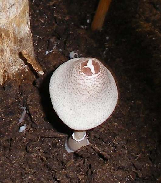 photo1