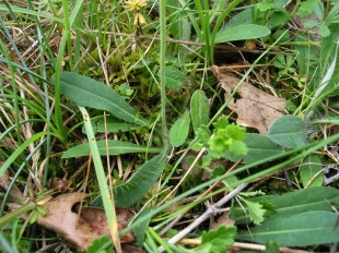 photo2