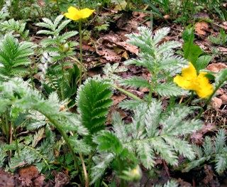 photo1
