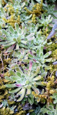 photo1