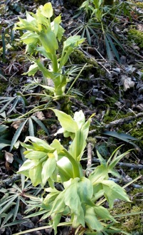 photo1