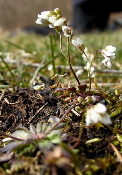photo1