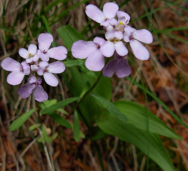 photo2