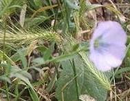 photo1