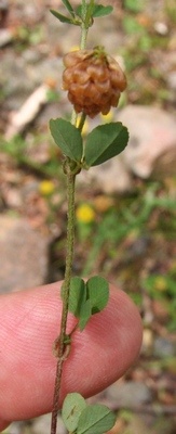 photo2