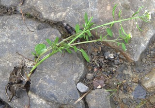 photo1