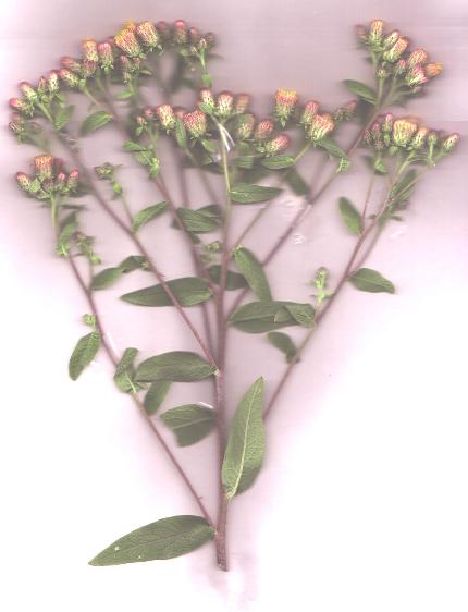 photo2