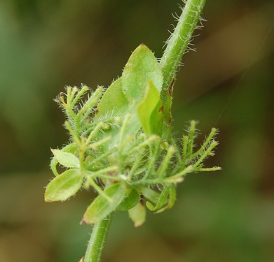 photo1