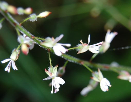 photo2