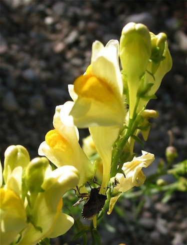 photo2