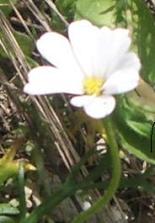 photo1