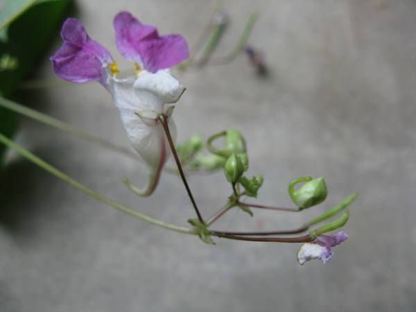 photo2
