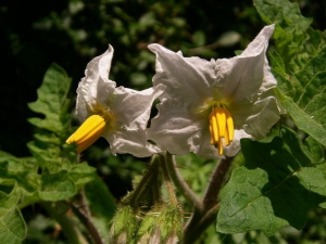 photo1