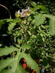 photo2